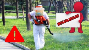 Main News Image